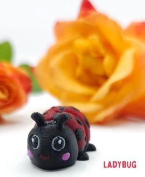 Ladybug Flexi 