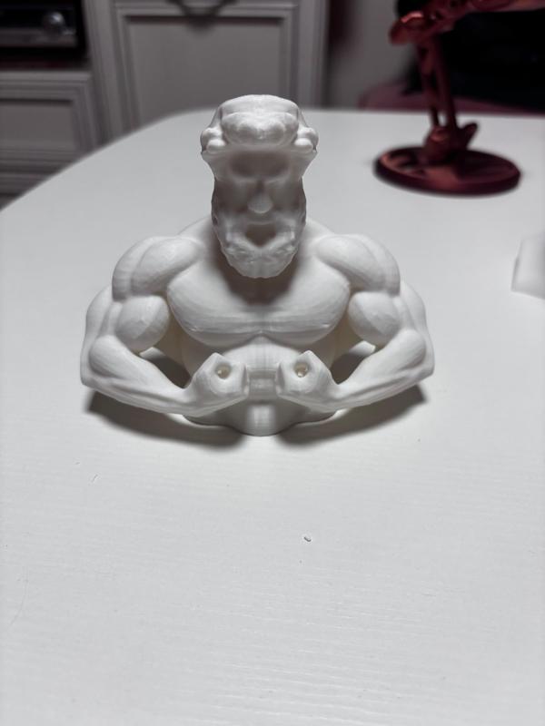 Muscular greek god bust