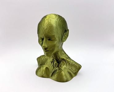 Doodle Elven Lady Bust