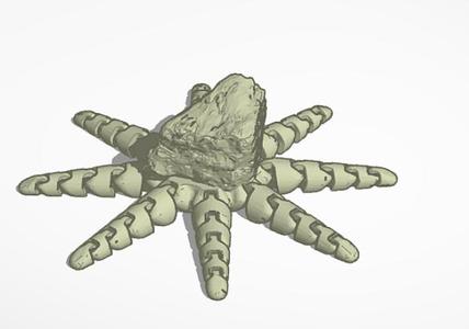 Actual Rock-octopus Rocktopus