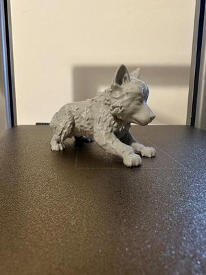Wolf pup