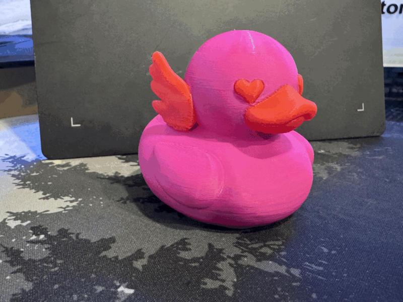 Valentine's Duck