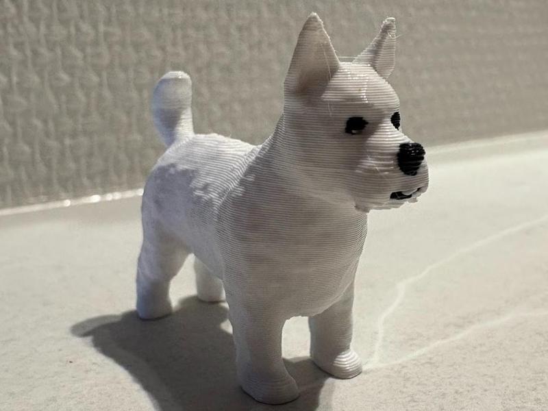 West highland terrier