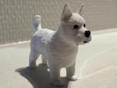 West highland terrier