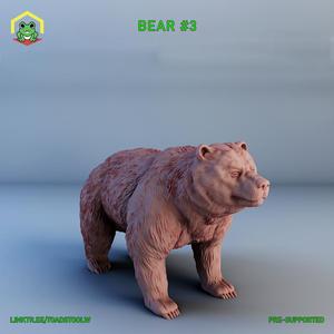 Bear #3