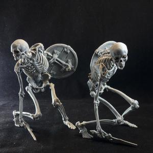 Evil Skeleton Warrior