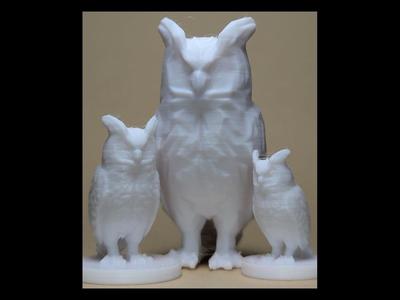 Great Wise Owl 20mm, 25mm and 200mm + Low Poly (DND / TTRPG)