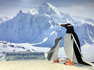 Gentoo Penguin Kit card