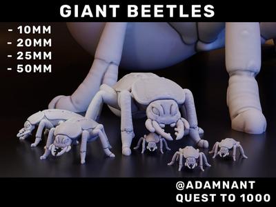 Giant Beetles 10mm - 50mm (DND / TTRPG)