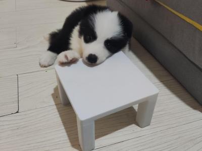 IKEA-style Mini Table, Small Square Table, IKEA, mini table, mini stool