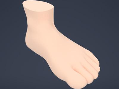 Human Foot
