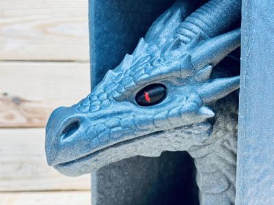 Dragon Booknook 