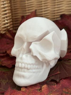 Skull Puzzle