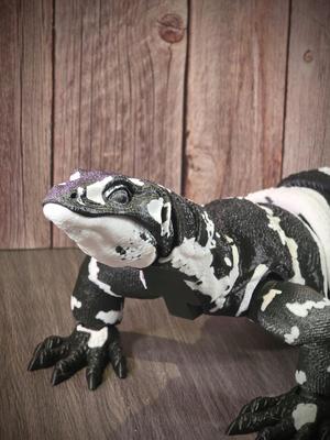 Asian Water Monitor - Articulated Detailed Lizard