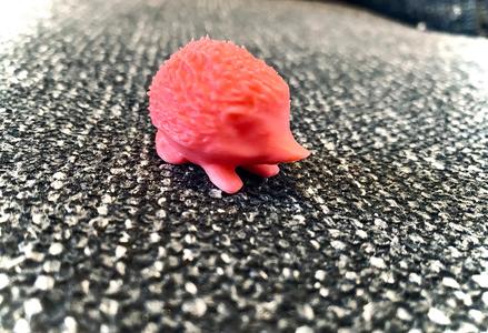 Little Hedgehog