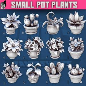 1001 - Pot Plants