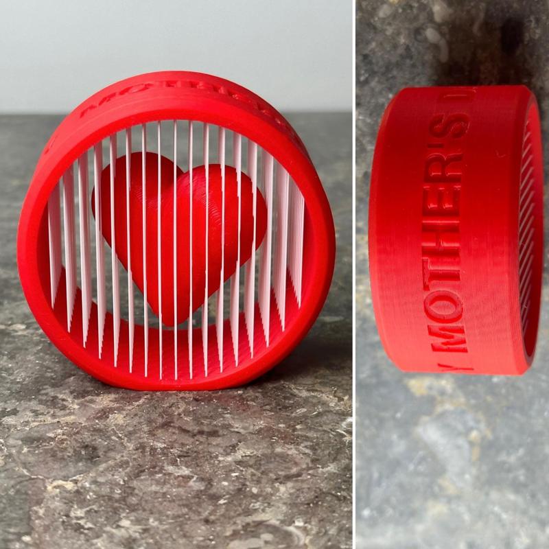 Suspended Heart - Special Edition