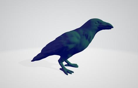 simple crow