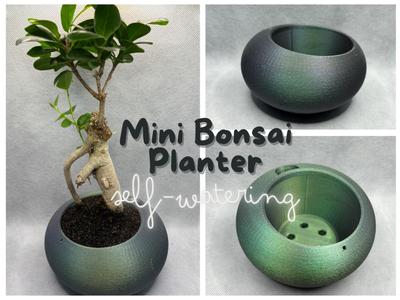 Self-watering Mini Bonsai Planter Pot