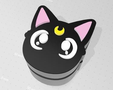 Sailor Moon Luna's box