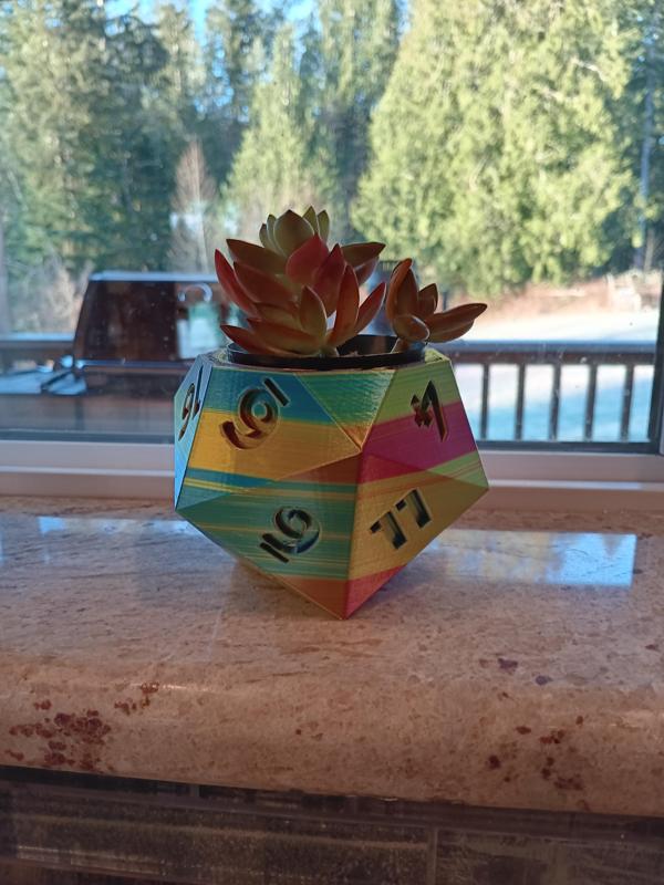20 sided dice plant pot v2