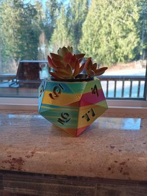 20 sided dice plant pot v2