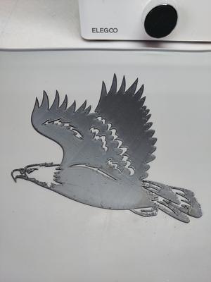 Fling Bald Eagle