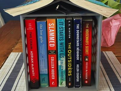Mini library bookshelf