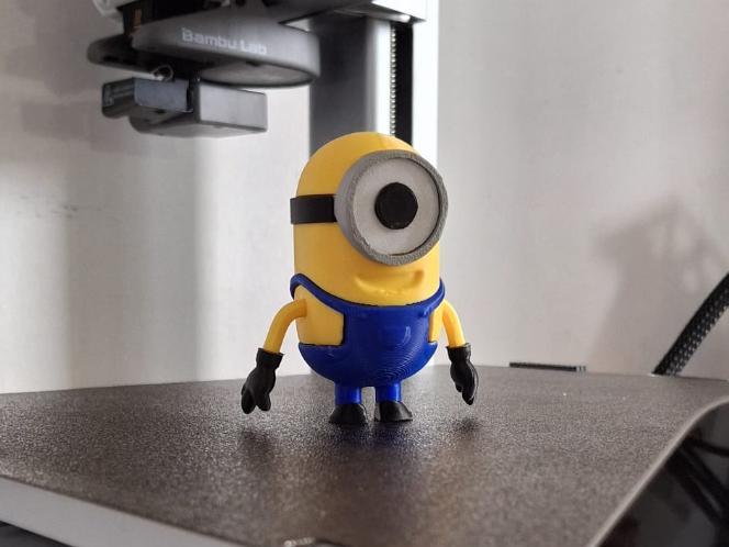 Multicolor Minion - No AMS needed