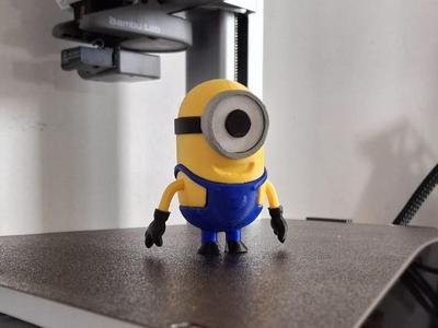 Multicolor Minion - No AMS needed
