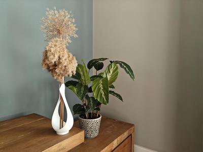 Dry Flower Vase