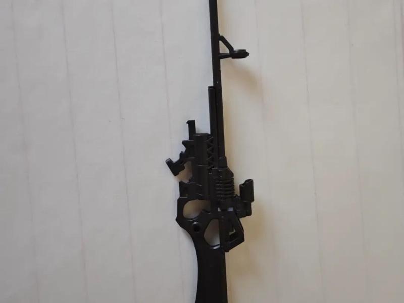 Eva's gun