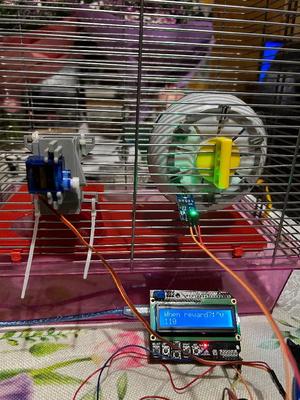 HAMSTER SPEED TESTER with a rotation counter and a reward upon reaching the goal   