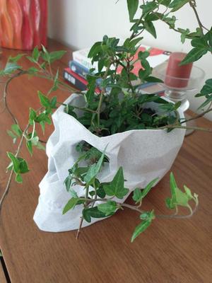 Lowpoly Skull Flowerpot Remix