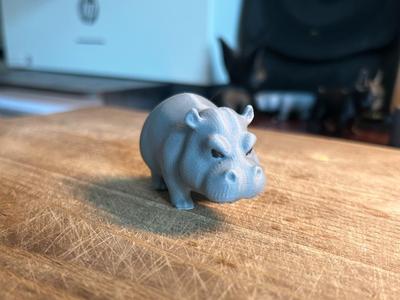 Small angry hippo