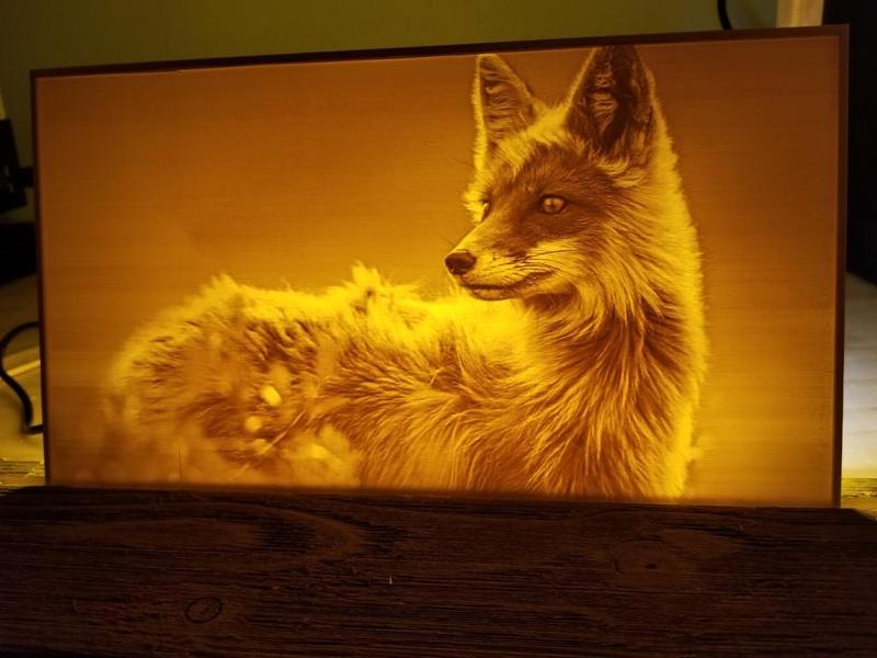 Fox Lithophane