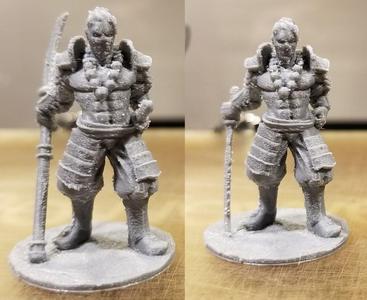 D&D Human Samurai Fighter \ Kensei Monk