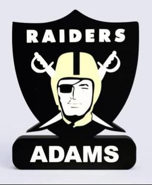 N.Y. Raiders Sign – LED Strip Compatible