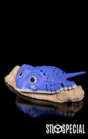 Ray, the Manta Ray 3D Print STL Files