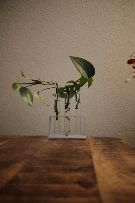 ∆ 002 - Test Tube Propagation Station with Base