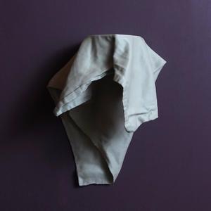 Magic cloth shelf