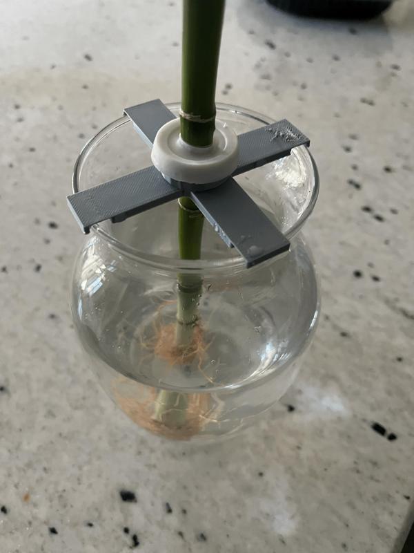 IKEA Dracaena Plant Clip