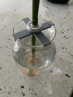 IKEA Dracaena Plant Clip