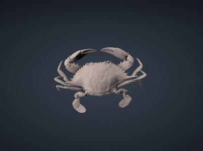 Realistic Blue Crab