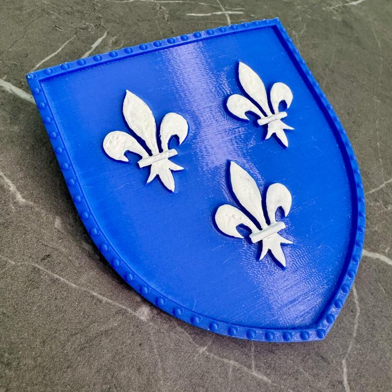Temerian shield