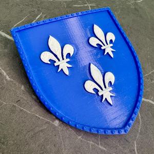 Temerian shield