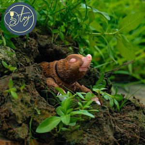 Diggy The Mole