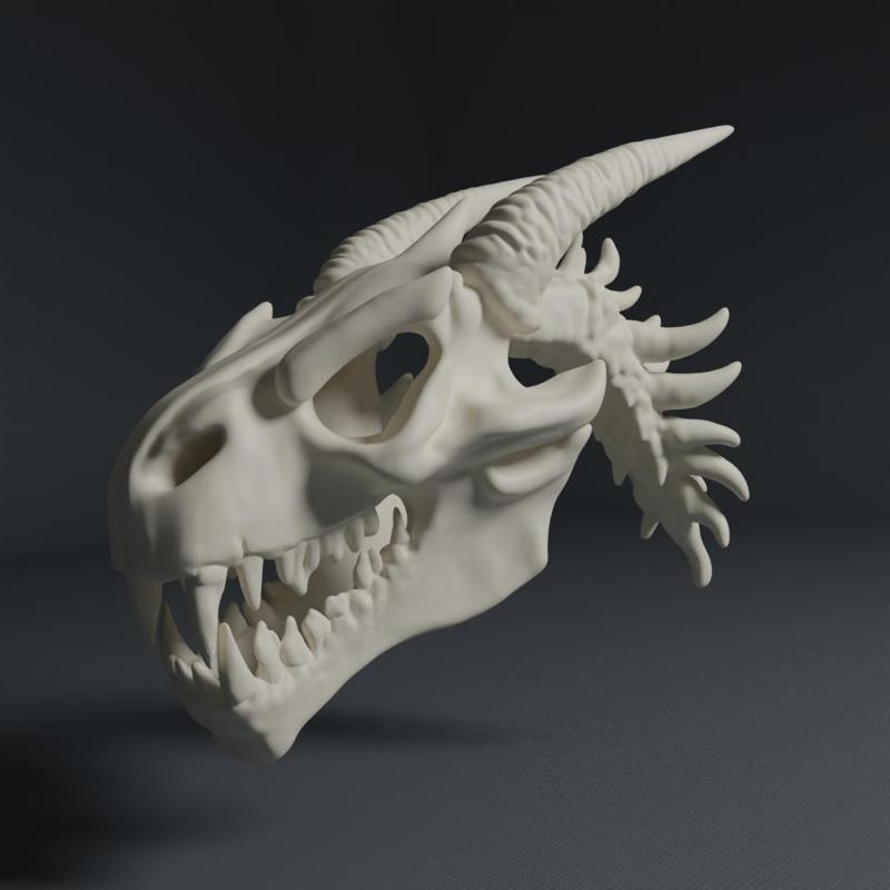 AI Skull Collection - Dragon Skull 3