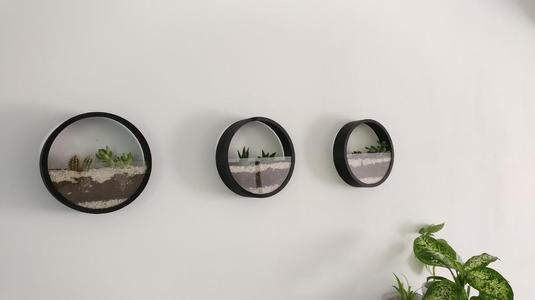 Terrarium