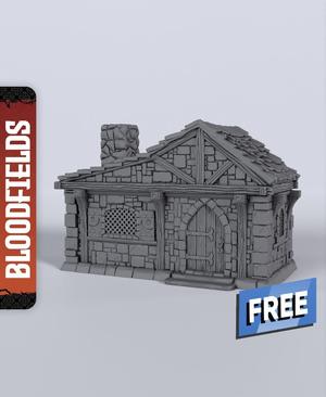 Small Building A - With Free Dragon  - 5e DnD Inspired for RPG and Wargamers